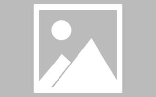 果洛网页设计英文默认字体（网页设置英文转换中文）